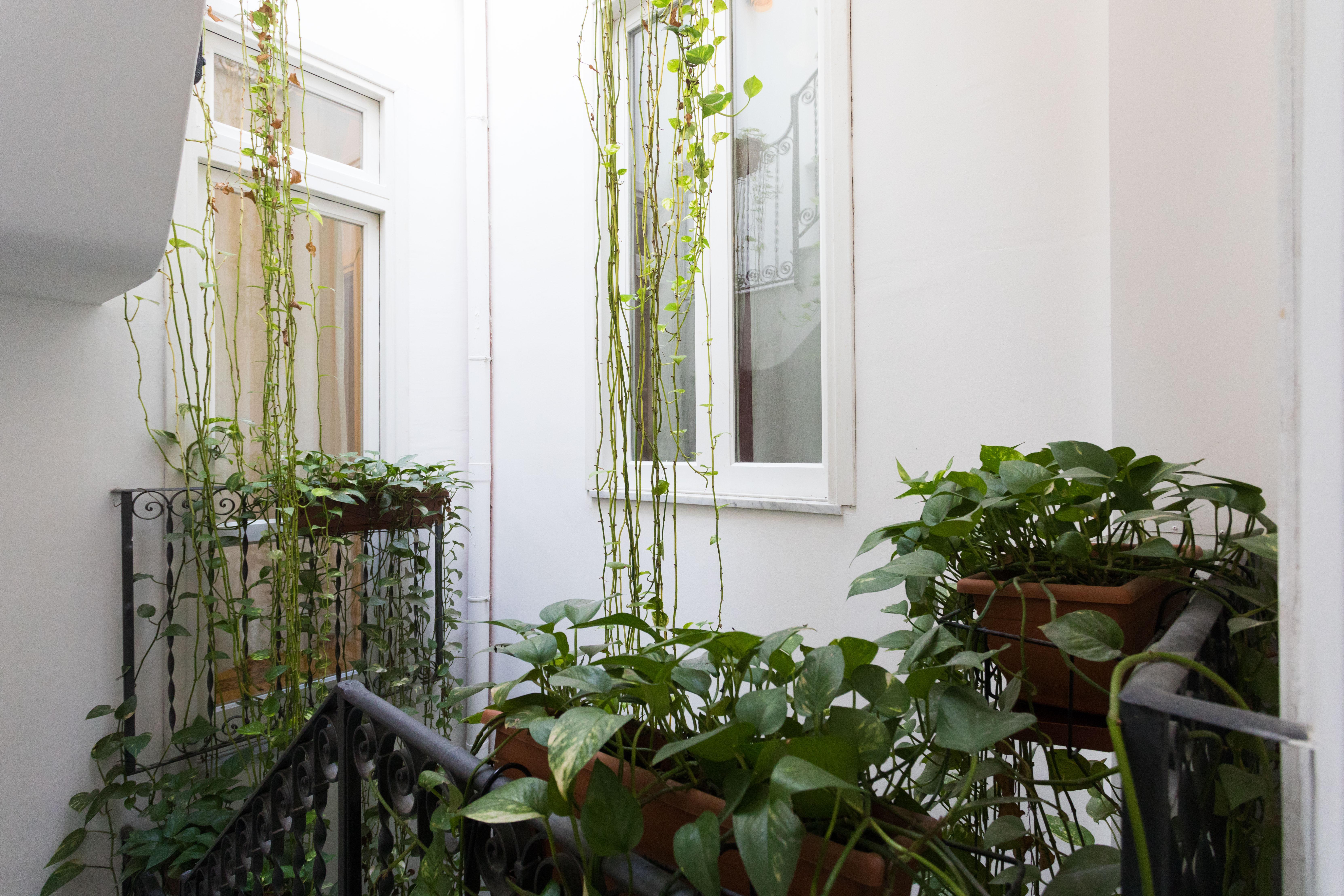 Ai Tintori Bed & Breakfast Palermo Luaran gambar